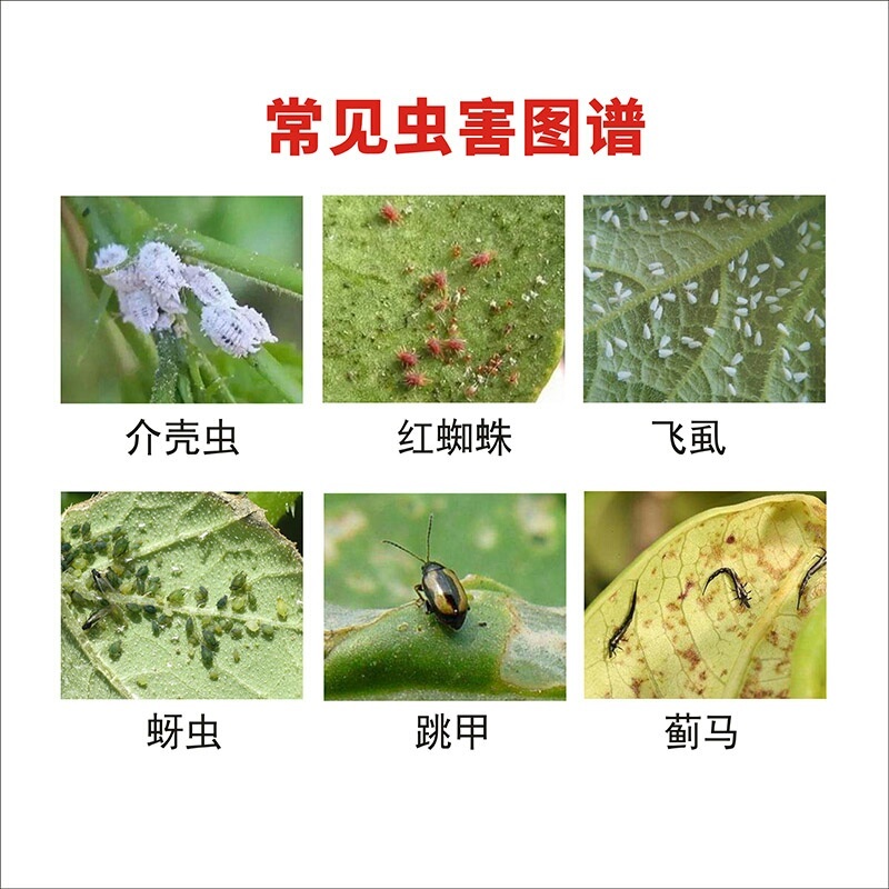 上海悦联尊典5%甲氨基阿维菌素苯甲酸盐小菜蛾杀虫剂