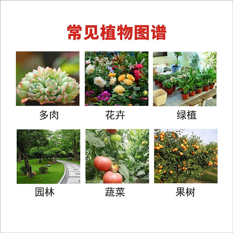 上海悦联尊典5%甲氨基阿维菌素苯甲酸盐小菜蛾杀虫剂