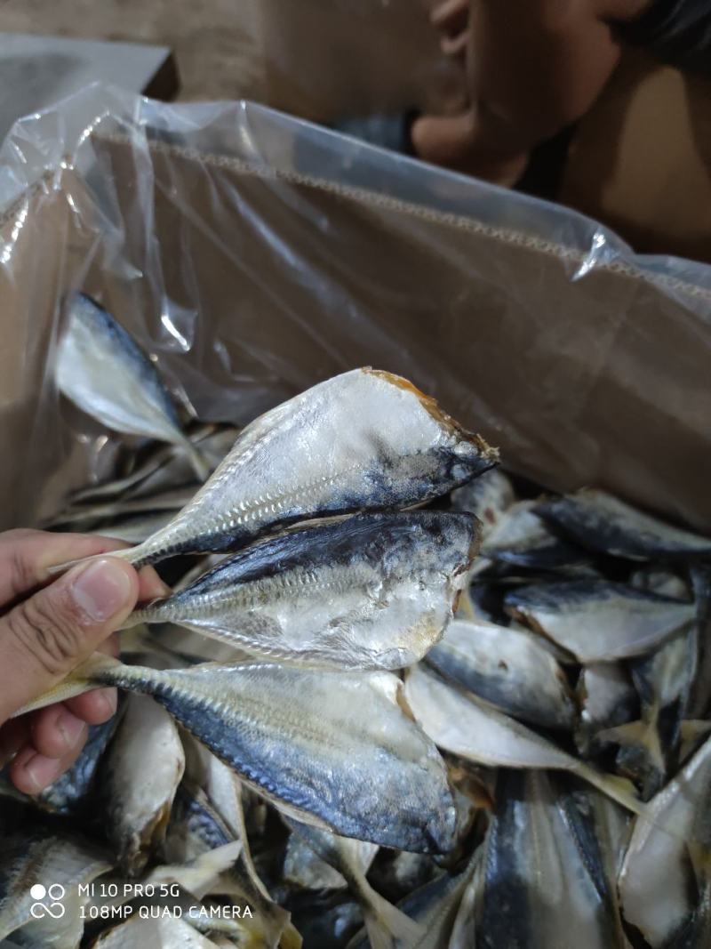 黄尾鱼干巴浪小鱼干咸鱼干货北海海鲜干货肉厚少刺巴浪鱼