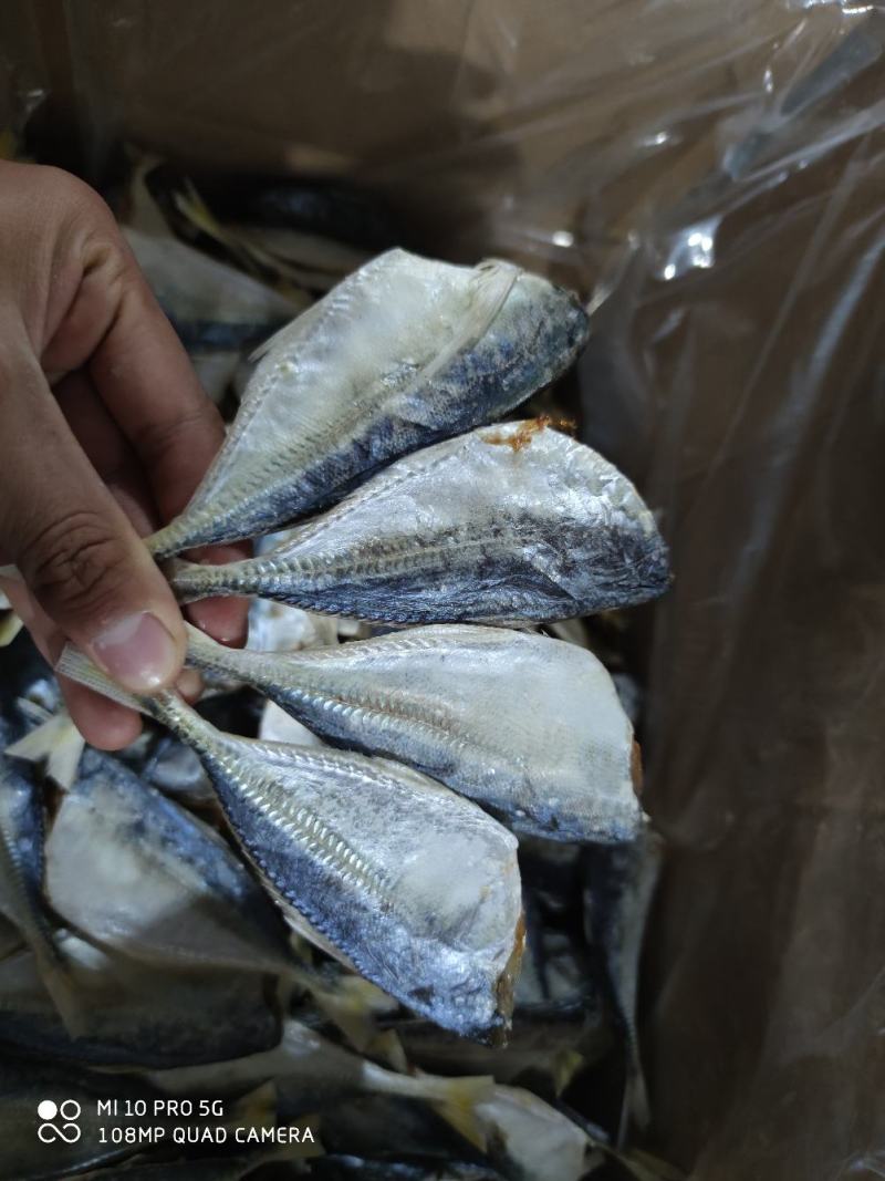 黄尾鱼干巴浪小鱼干咸鱼干货北海海鲜干货肉厚少刺巴浪鱼