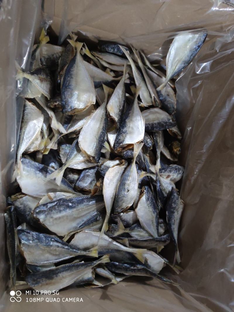 黄尾鱼干巴浪小鱼干咸鱼干货北海海鲜干货肉厚少刺巴浪鱼