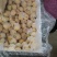 黄金梨出口加工的二三级甜度好梨味浓，采用无公害生草管理。