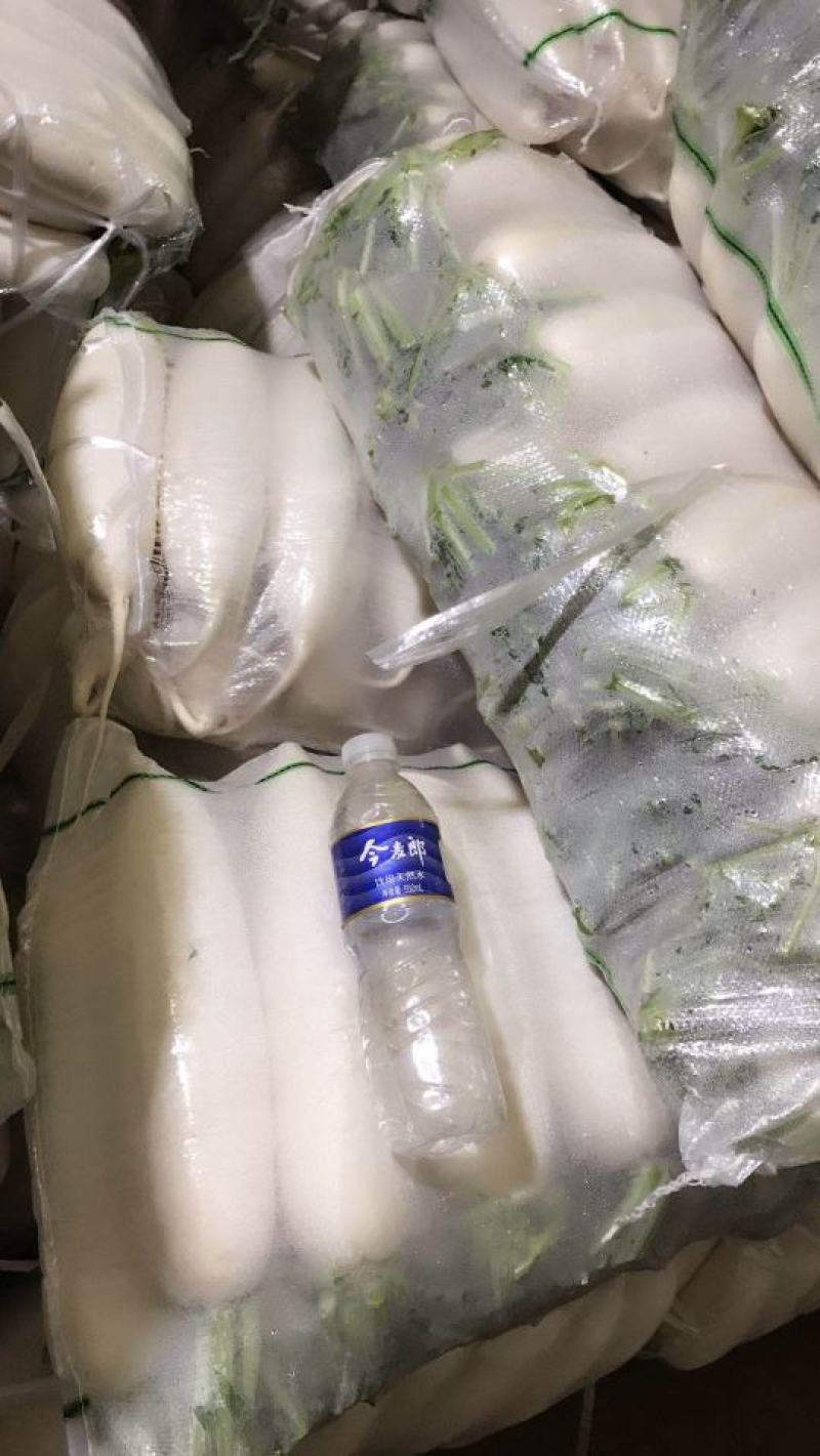 白萝卜，坝上特产