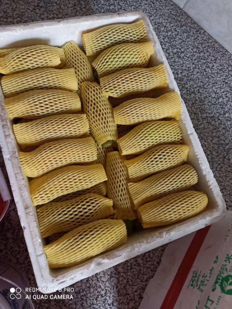 自家种的八月果支持一件代发，欢迎各位老板来电咨询