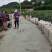 湘西绿心猕猴桃米良1号