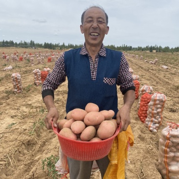 陕西榆林定边新鲜现挖土豆马铃薯白心黄心红皮土豆基地直供