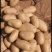 陕西榆林定边新鲜现挖土豆马铃薯白心黄心红皮土豆基地直供