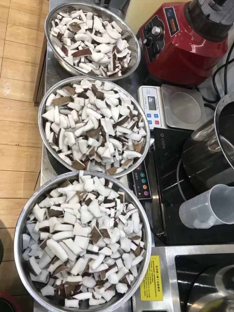 文昌东郊老椰子，海南老椰子，东郊毛椰，文昌椰子