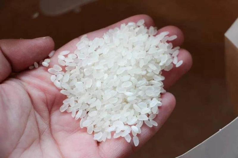 虾米稻大米，香米，生态大米