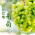 优质嫁接阳光玫瑰葡萄苗价格优惠包成活技术