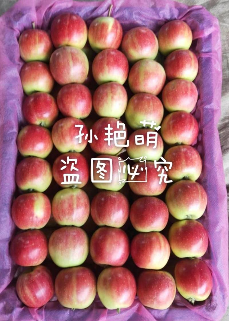 123苹果预定中，产地直发，发货快。可视频看货。