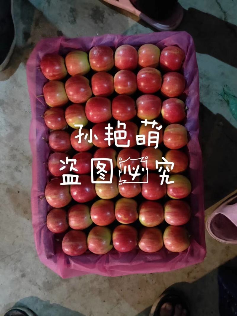 123苹果预定中，产地直发，发货快。可视频看货。