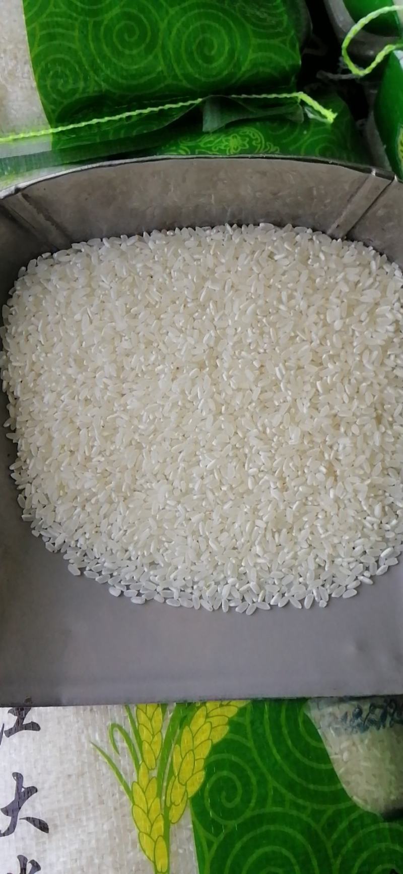 松江大米，水稻品种松早香一号，大量供应，诚信经营