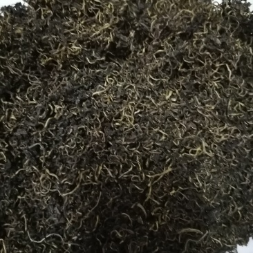 蒲公英茶，新鲜足干，颜色好，冻库冷冻，