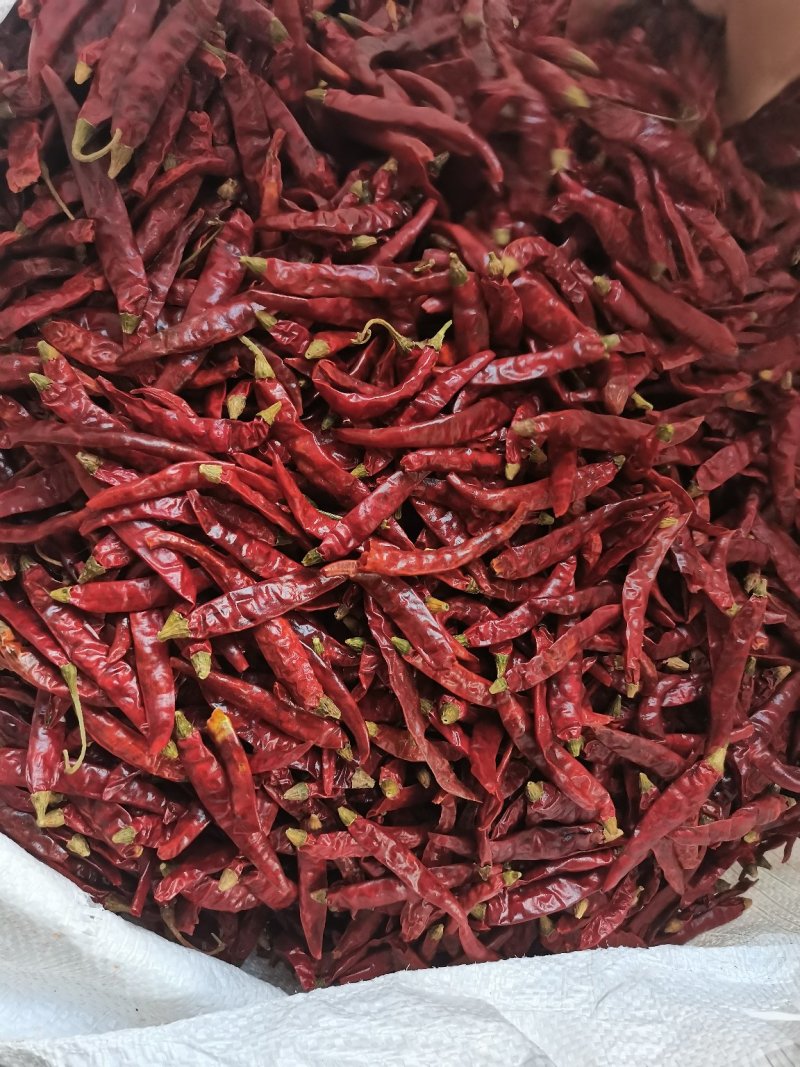 干辣椒段三樱椒辣椒段，魔鬼椒段，包装质量杠杠的