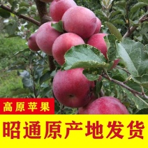 正宗云南昭通丑苹果冰糖心原产地批发一件代发