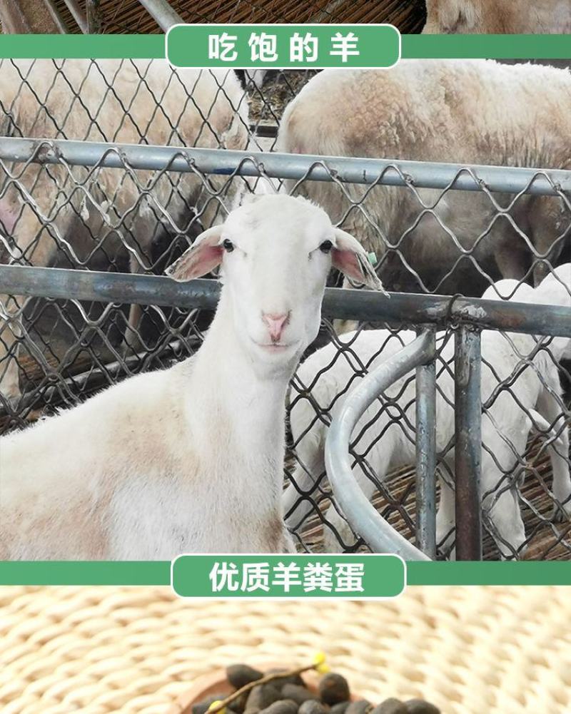 纯羊粪厂家直销量大优惠多多纯颗粒羊粪有机肥农家肥