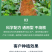 纯羊粪厂家直销量大优惠多多纯颗粒羊粪有机肥农家肥