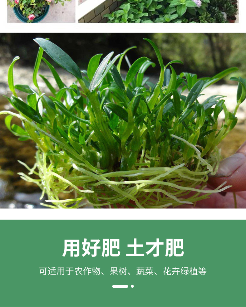 纯羊粪厂家直销量大优惠多多纯颗粒羊粪有机肥农家肥