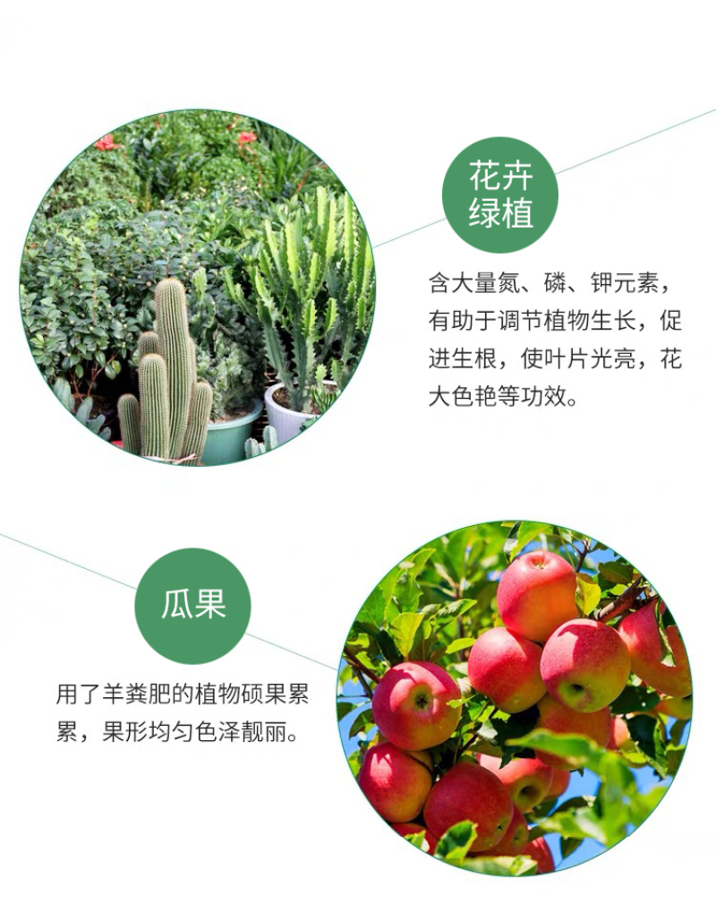 纯羊粪厂家直销量大优惠多多纯颗粒羊粪有机肥农家肥