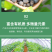 纯羊粪厂家直销量大优惠多多纯颗粒羊粪有机肥农家肥