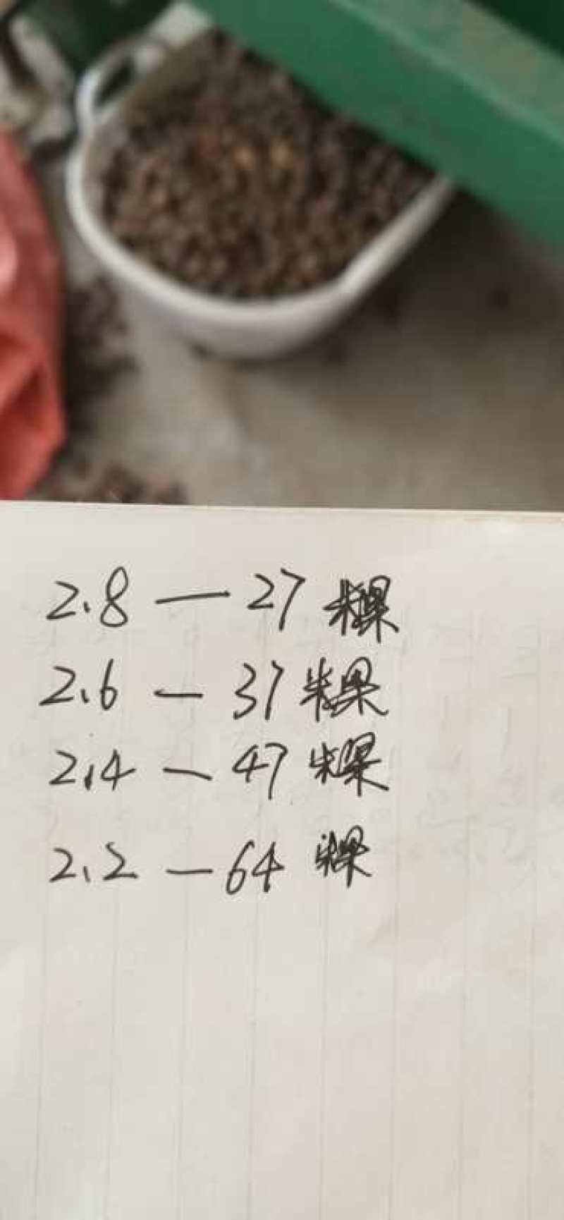 贵望美丽板栗，美丽的价格，即将太掉价