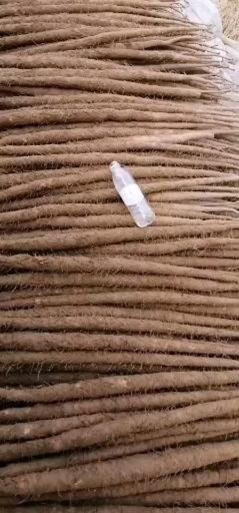 新铁棍山药棒药紫药双胞产地发货代发电商