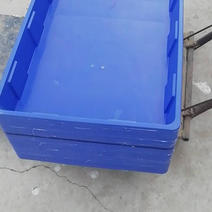 养殖盒黄粉虫养殖盒蝎子养殖盒塑料盒