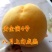 桃树苗水密黄桃-蟠桃-黑桃-冬桃-血桃-可签合同假一陪万
