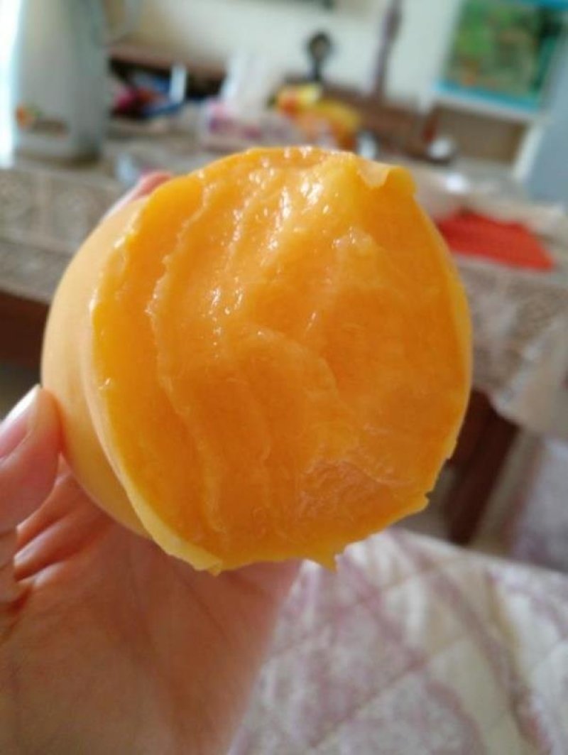 桃树苗水密黄桃-蟠桃-黑桃-冬桃-血桃-可签合同假一陪万