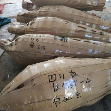 纳豆有机芦荟苗100棵起发