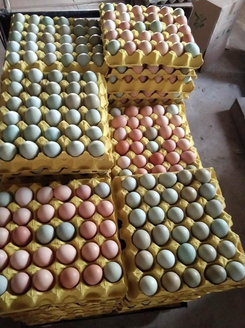 湖北武汉【绿壳鸡蛋】全国发货12个一斤20个480个装