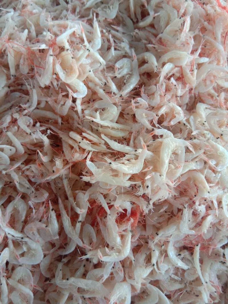 渤海湾咸虾皮，压板烘干，沾化虾皮，按需加工，欢迎合作