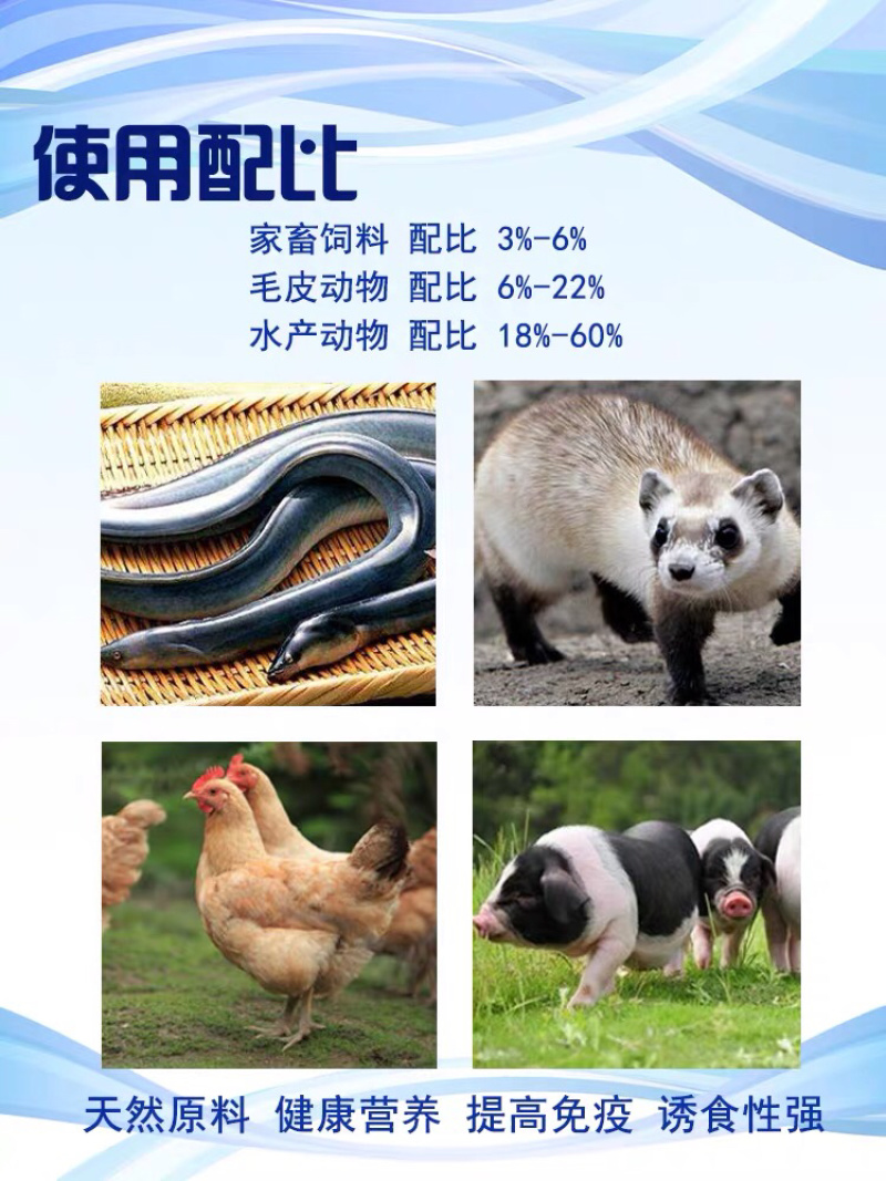 鱼粉饲料添加剂国产进口秘鲁鱼粉畜禽鸡鸭鹅猪鱼虾(全国包邮