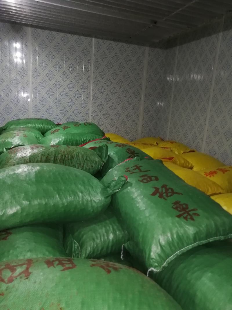 板栗，迁西板栗，产地河北迁西，大标，中标，小标，小粒，