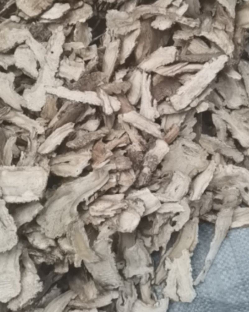 当归大芯片手选去皮过筛去渣当归头芯片可打粉当归切片