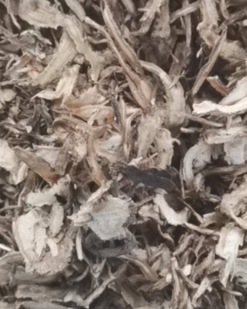 【年末大促销】当归无硫全归片基地直销欢迎实地考察