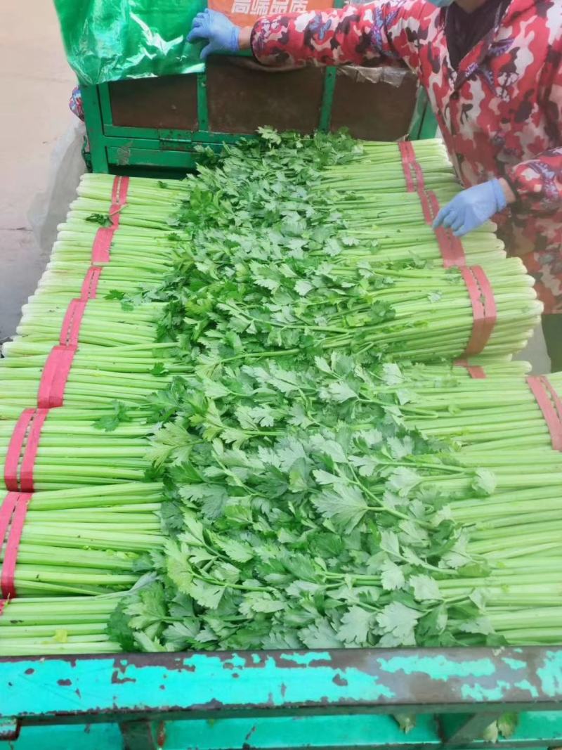 本地叶菜大量上市今天大掉价市场有70个左右的品种欢迎来选