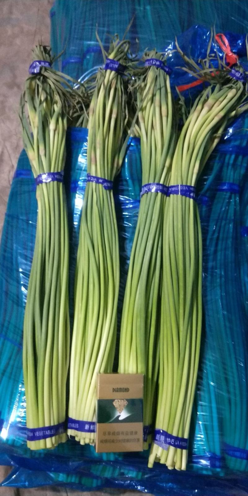 本地叶菜大量上市今天大掉价市场有70个左右的品种欢迎来选