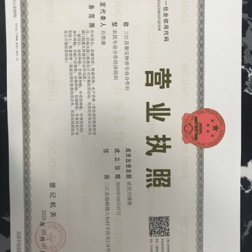 一千多亩地出租或者合作