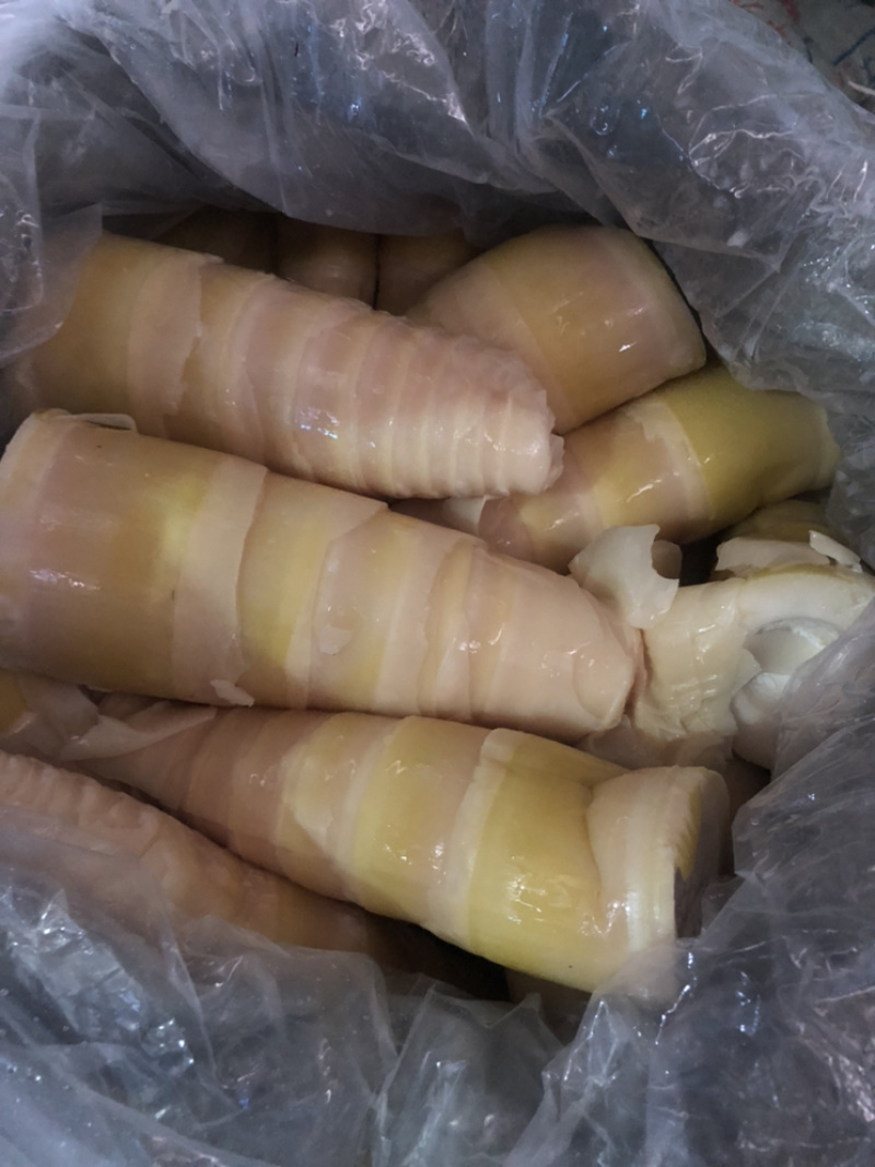 毛竹笋无限量供应可深加工酸笋黄笋丝螺丝粉专用酸笋