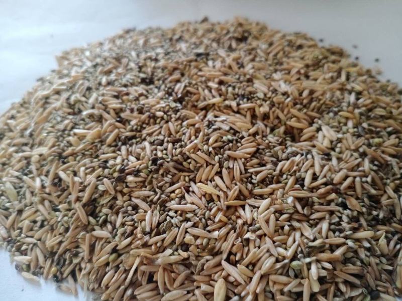 【优质货源】燕麦糠，适合畜牧家禽饲料饲料添加，量大优惠！