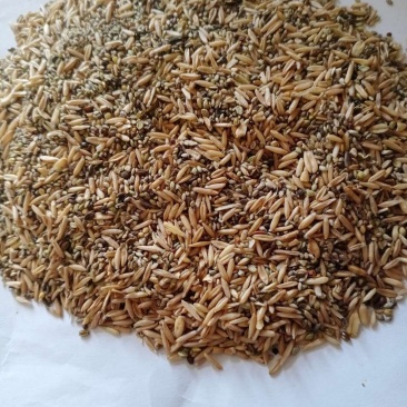【优质货源】燕麦糠，适合畜牧家禽饲料饲料添加，量大优惠！