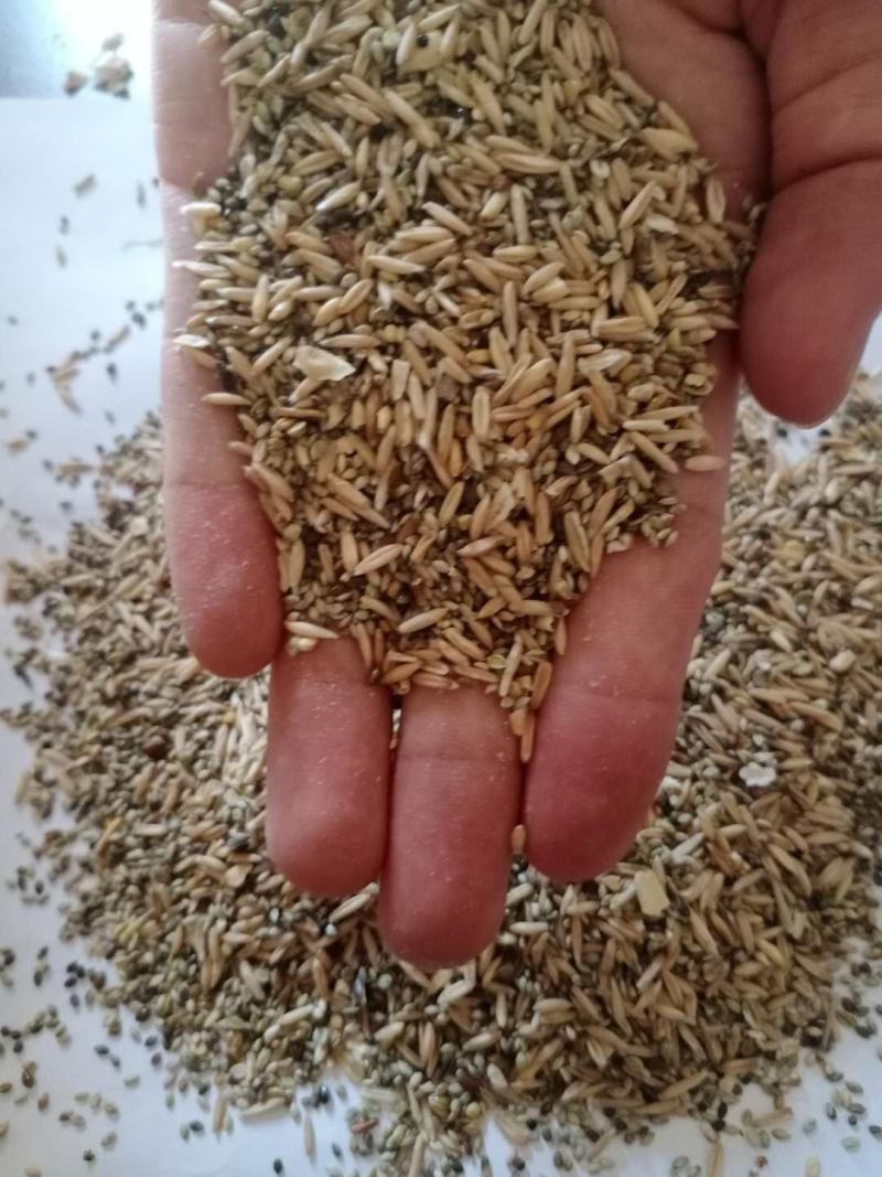 【优质货源】燕麦糠，适合畜牧家禽饲料饲料添加，量大优惠！