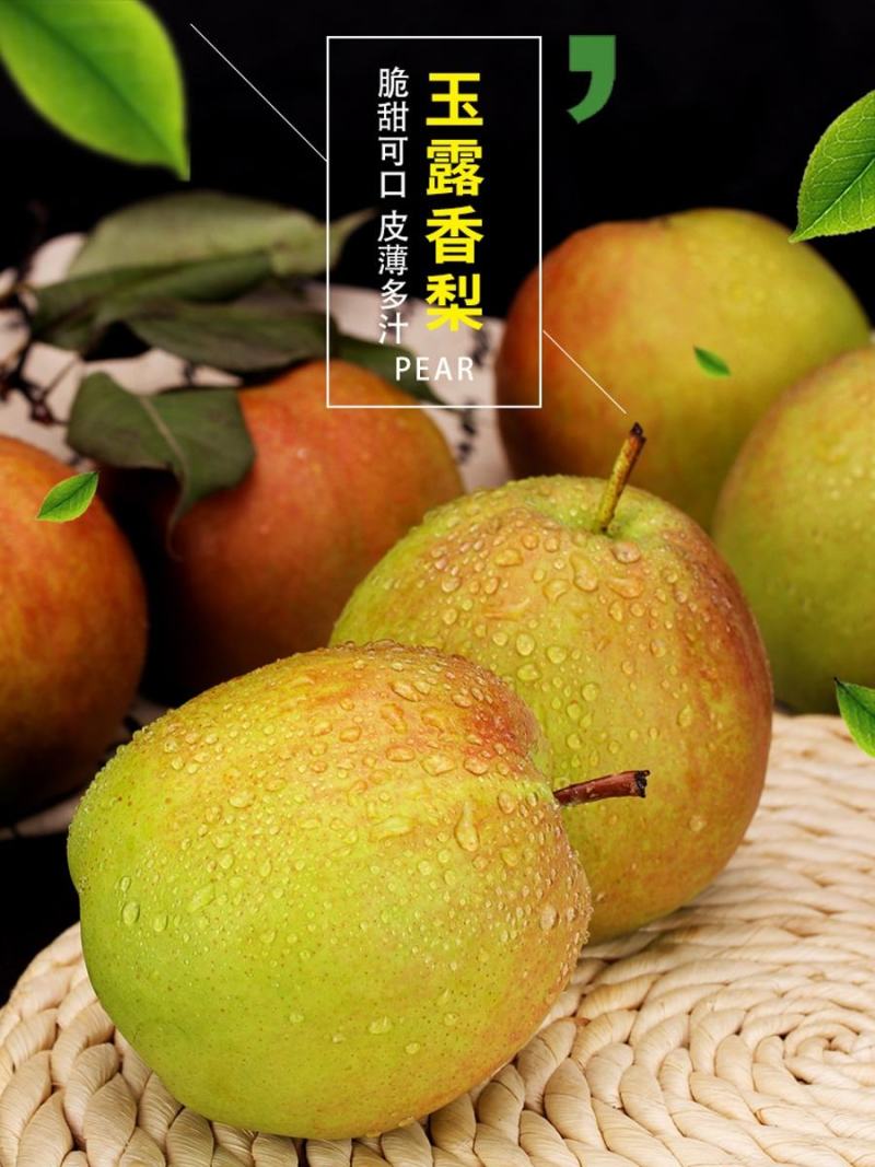 百果之宗玉露香梨