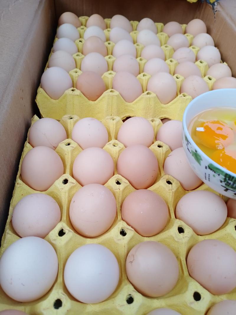 粉蛋，蛋黄韧度高蛋清粘稠，质量杠杠滴