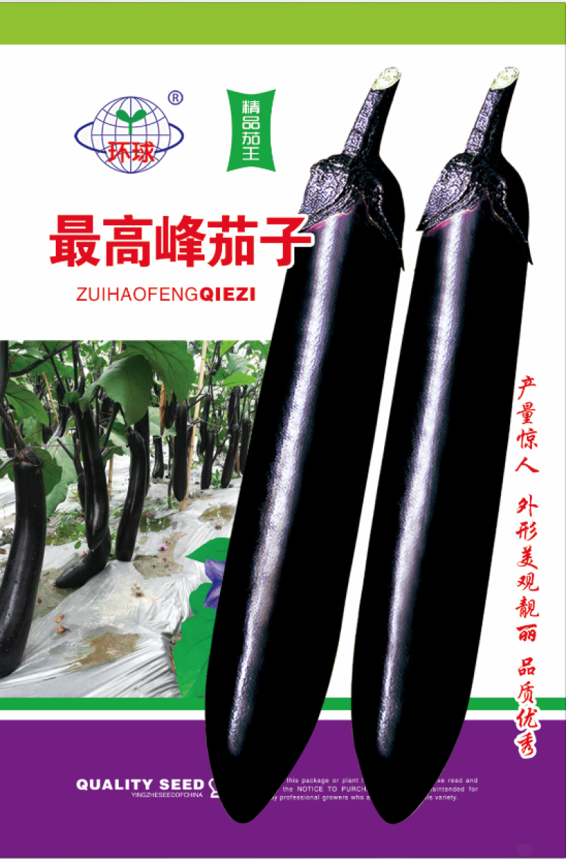 茄子种子中熟紫黑色光泽好蔬菜种子高产抗病耐运输耐储存包邮