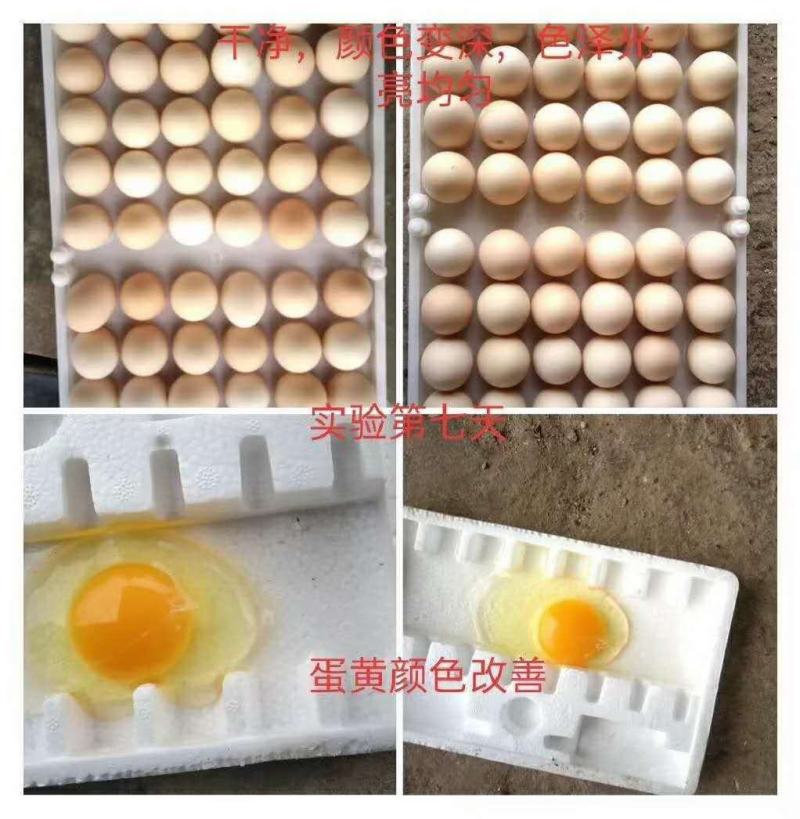 厂家供应辣椒粕大量批发发酵辣椒粕蛋鸡用量大价优