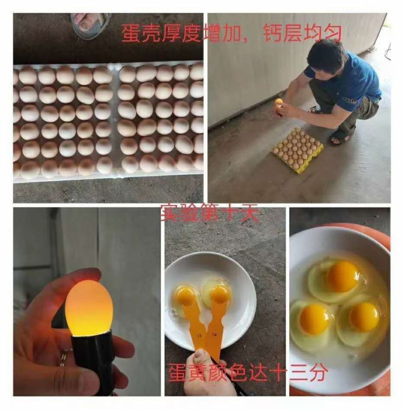 厂家供应辣椒粕大量批发发酵辣椒粕蛋鸡用量大价优