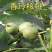 香玲核桃嫁接苗薄皮核桃当年结果现挖现卖包成活